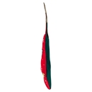 Walcor Calza Peanuts 170 g