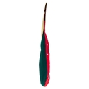 Walcor Calza Peanuts 170 g