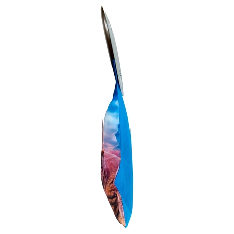 Walcor Calza Dinosaur Park 170 g