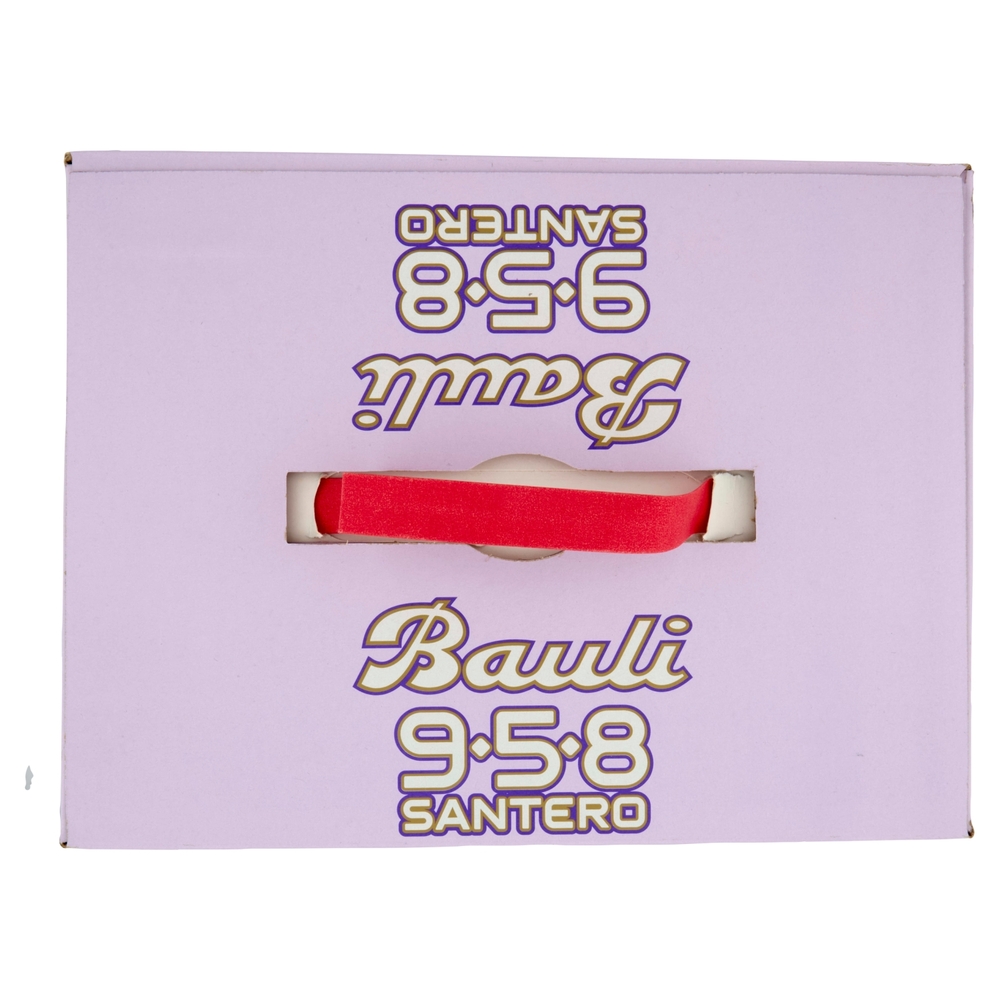 Bauli 958 Santero Tanti Auguri! Pandoro Bauli 700 g + 958 Santero Millesimato 75 cl