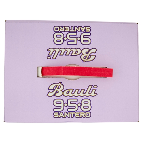 Bauli 958 Santero Tanti Auguri! Panettone Bauli 700 g + 958 Santero Millesimato 75 cl