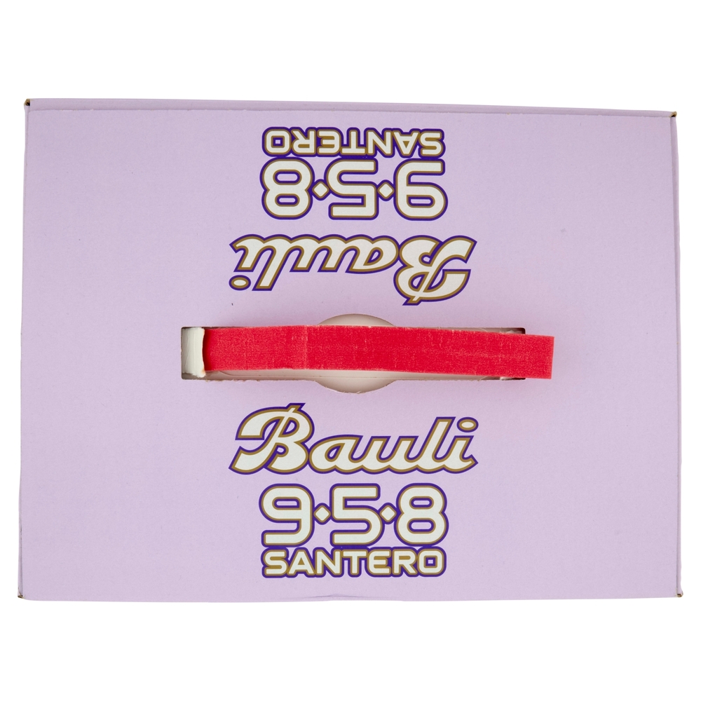 Bauli 958 Santero Tanti Auguri! Panettone Bauli 700 g + 958 Santero Millesimato 75 cl