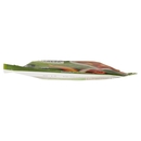 Knorr Minestrone Saporito 78 g