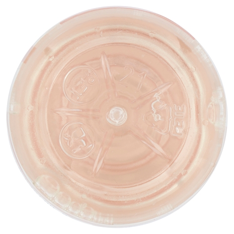 San Benedetto SKINCARE 0,22L gusto Pesca e Frutti Rossi