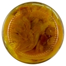 Cipolle con Curcuma e Uvetta Agrodolce in Olio Il Viaggiator Goloso