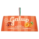 Galup la Colomba Albicocca e Cioccolato al Caramello con Glassa alle Nocciole 750 g