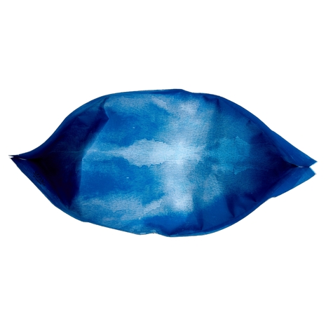 Adult Crocchette per Cani Ricche in Suino Fresco e Patate Compagni Di Viaggio