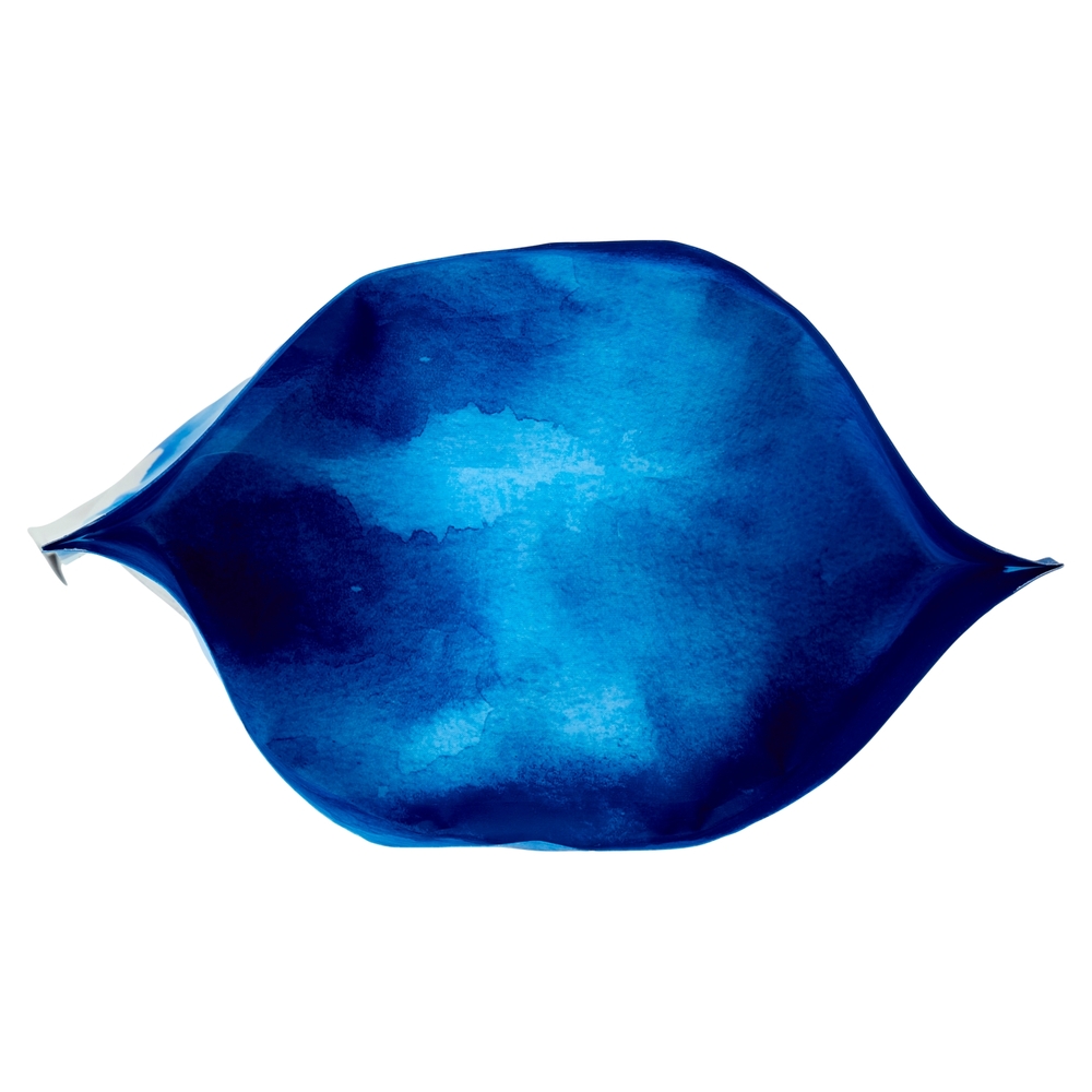 Biscotti per Cani Adulti con Agnello Compagni di Viaggio