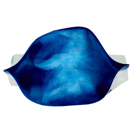 Biscotti per Cani Adulti con Salmone Compagni di Viaggio