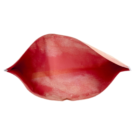 Kitten Crocchette per Gatti ricche in Carni Bianche Compagni di Viaggio