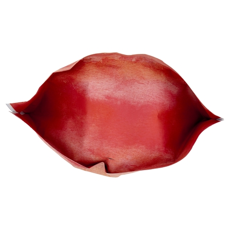 Sterilized Crocchette per Gatti Adulti Ricche in Trota Fresca Compagni di Viaggio