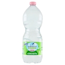 San Benedetto Acqua Naturale Benedicta Ecogreen Easy 1 L