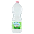 San Benedetto Acqua Naturale Benedicta Ecogreen Easy 1 L