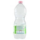 San Benedetto Acqua Naturale Benedicta Ecogreen Easy 1 L