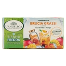 L'Angelica Tisana Fredda Brucia Grassi al Gusto di Fico d'India e Mango 18 Filtri 36 g