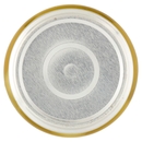 Olive Verdi Giganti Intere in Salamoia U!