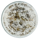 Capperi Sotto Sale U!