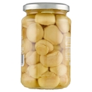 Funghetti sottolio U!