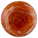 Insalatina Agrodolce U!