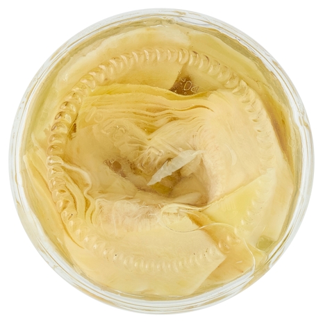 Carciofi Tagliati Sottolio U!