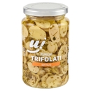 Funghi Trifolati Sottolio U!