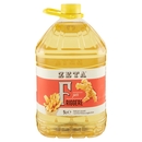 Zeta per Friggere 5 L