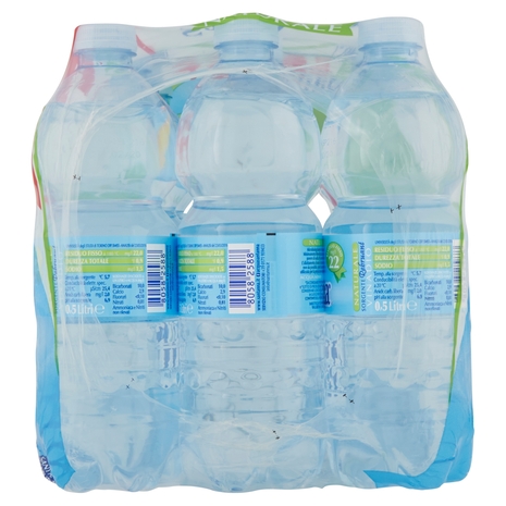 Sant'Anna Naturale Sorgente Rebruant 12 x 0,5 L
