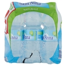 Sant'Anna Naturale Sorgente Rebruant 12 x 0,5 L