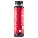 Sant'Anna SanFruit Frutti Rossi 330 ml