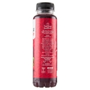 Sant'Anna SanFruit Frutti Rossi 330 ml