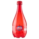 Brio Rossa Più Frizzante Gualdo Tadino 0,5 L