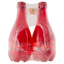Brio Rossa Più Frizzante Gualdo Tadino 6 x 0,5 L
