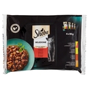 Sheba Selezione Cibo Umido Gatto in Salsa Selezione Gustosa 4 x 85g