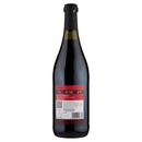 Grandi Vigne Gabà Gutturnio DOC Frizzante 750 ml