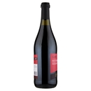 Grandi Vigne Gabà Gutturnio DOC Frizzante 750 ml