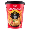 Oyakata Taste of Asia Hot Chicken & Cheese flavour 97 g