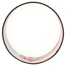 Oyakata Taste of Asia Hot Chicken & Cheese flavour 97 g