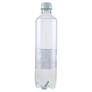 Fiuggi naturale 0,5 L
