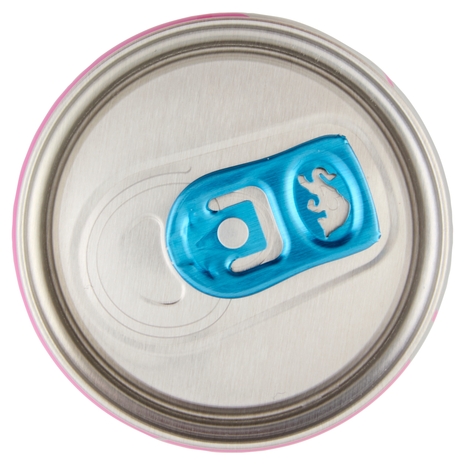 Red Bull Energy Drink, Gusto Frutti di Bosco, Senza Zuccheri, 250 ml