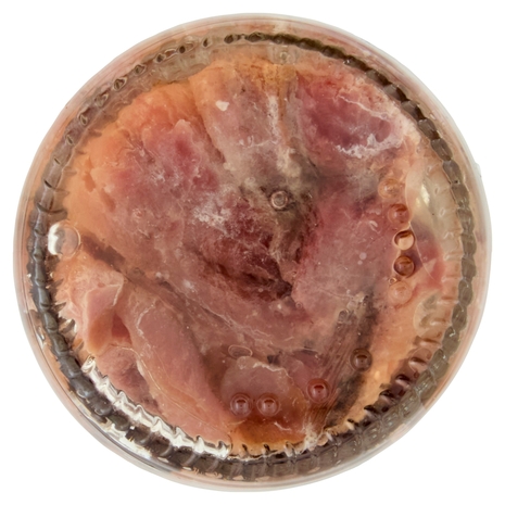 Consorcio Filetti di Acciughe in Olio di Oliva Pesca del Cantabrico 65 g