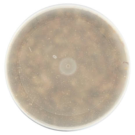 Ubena Origano foglie 22 g