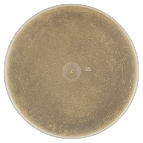 Ubena Insaporitore per Carni Ricetta Classica 90 g