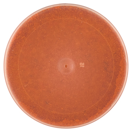 Ubena My BBQ Rub di Spezie Universale 140 g