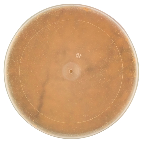 Ubena My BBQ Mix per Verdure & Co. 120 g