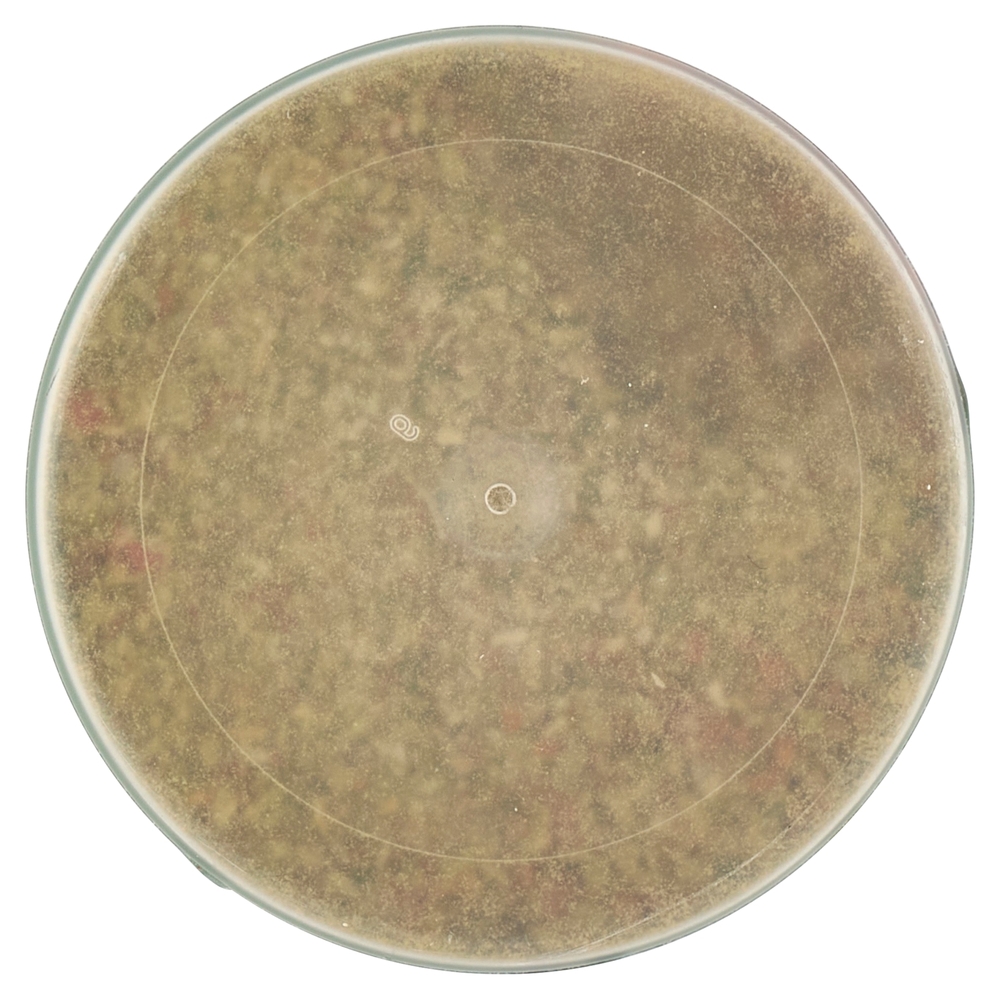 Ubena My BBQ Rub di Erbe Mediterranee per Carni 120 g