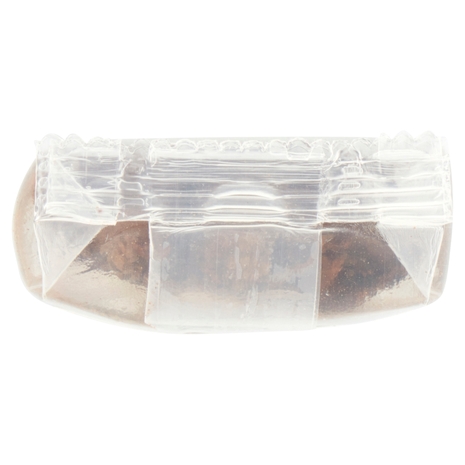 Ubena Anice stellato Badiana 5 pz