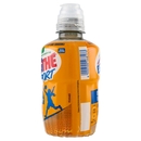 Estathé Sport Arancia 250 ml