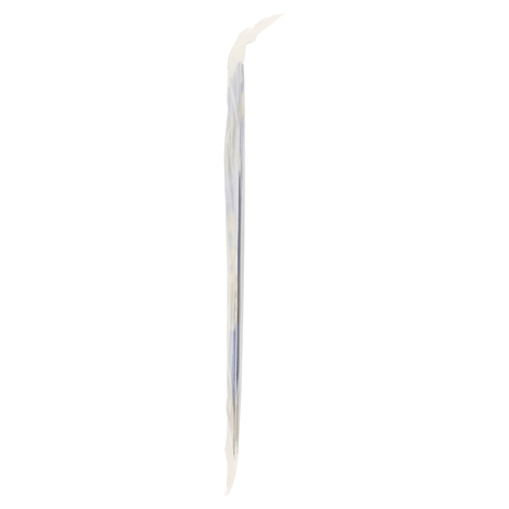 Cialda Decorativa per Torte Inter Ø 20,5 cm 7 g