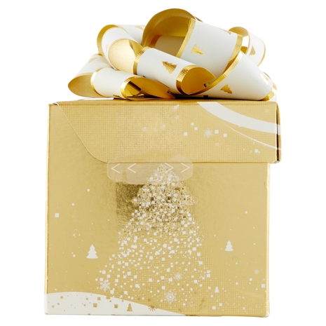 Ferrero Rocher 6 Pezzi 75 g