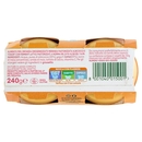 Plasmon Omogeneizzato con fermenti lattici pastorizzati Albicocca e Yogurt 2 x 120 g